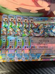 샤미드 ex 5枚