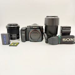 美品】SONY α100 DSLR-A100 ダブルレンズ (0838) - メルカリ