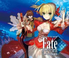 フェイトエクストラCCC Fate/EXTRA CCC 非売品 販促用 ポスター - メルカリ