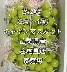 マツモト商店『年中無休』 - メルカリShops