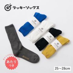 ラッキーソックス LUCKY SOCKS 靴下 メンズ 通年 リラックスパイルソックス 綿100％ 日本製 国産 抗菌防臭 おしゃれ ギフト プレゼント 黒 ブラック 白 ホワイト LS-2505 LS-260201 Ls035