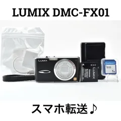 2026年最新】DMC-FX01の人気アイテム - メルカリ