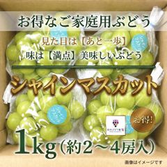 ハウス山梨シャインマスカット 1200gあっぷ | Mercari