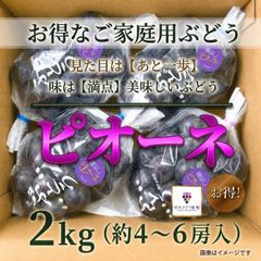 予約受付ページ❤️岡山ピオーネ きれいな家庭用2キロ - メルカリ
