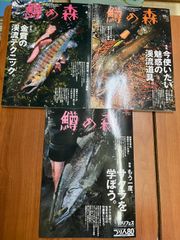 ショアジギング 青物 ヒラスズキ 地磯ガイド 伊豆 三浦 - メルカリ