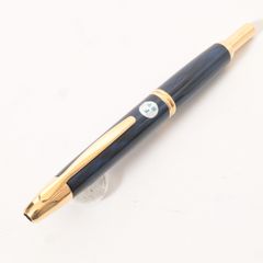 Pilot パイロット Deluxe デラックス 万年筆 14K-585 細字(F