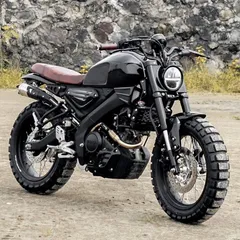 DMWORK MC XSR155 XSR125 フルエキマフラー Infinate シルバー - メルカリ