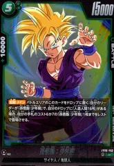 2026年最新】孫悟飯少年期 lcの人気アイテム - メルカリ