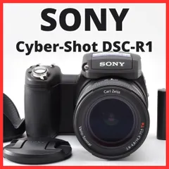 2026年最新】dsc-r1の人気アイテム - メルカリ