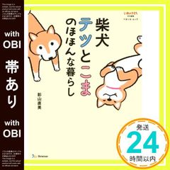 ユリイカ2010年10月号 特集=安倍吉俊 『serial experiments lain』『灰