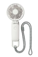 Iota IQ-LIFEPO リチウムイオン電池 自動充電コントローラー DLS充電