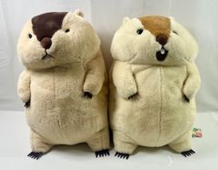 A3738・超超ウルトラBIGぬいぐるみ マーモットのもっとっと 2体セット タイトー限定 全高約50cm