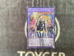 遊戯王 ウィッチクラフト バイスマスター オーバーフレーム
