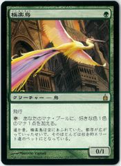 サージFOIL/MTG/日本語版/灼陽大峡谷/Sunbaked Canyon/拡張/ボーダー