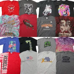 古着卸 まとめ売り プリント Tシャツ 16枚セット ( メンズ XL ) スカル アニマル フィッシュ カレッジ風 プロチーム NFL 中古 古着 NG1354