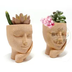 新品未使用 メーカー新款 テラス花壇庭園装飾卓上布置用 植木鉢・植物景観装飾用レジンフィギュア 卸売