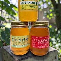 北海道産そば蜂蜜　フランス産くり蜜　600g2本セット　希少 北海道産そば蜜＆フランス産くり蜜 600g×2本 希少蜜 - メルカリ