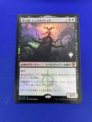 MTG・黒】巣穴の魂商人（旧枠FOIL） - メルカリ