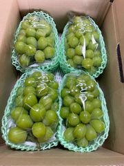 シャインマスカット 自宅で食べ放題❗️9月1日以降の発送！ - メルカリ