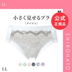 【メール便】【新品】ワコール Wacoal 小さく見せるブラ BRB329 PRA129 ノーマルショーツ LL 単品(LL)
