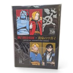 希少・入手困難！ 人造人間キカイダー 壹工房 (KAIJU ONE) ソフビ