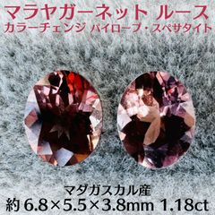 ゼリツィン®エリクサー 体験セッション(オンライン