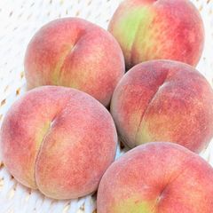 B級品】朝採り！山梨県産ちよひめ桃5kg - メルカリ