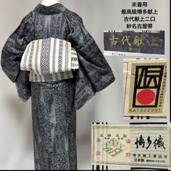 美品】東レ シルック 単衣 紗紬風 小紋 洗える着物 薄物 着物単品 