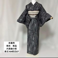 美品】東レ シルック 単衣 紗紬風 小紋 洗える着物 薄物 着物単品 