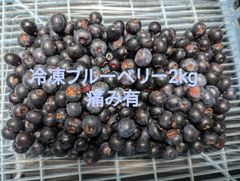 ひかりのこ様専用】冷凍ブルーベリー 3kg - メルカリ