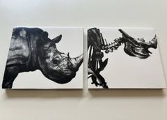 Mr.Children ベストアルバム2枚セット 肉 骨 - メルカリ