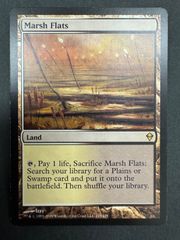MTG 湿地の干潟 日本語 foil ZNE ゼンディカー・エクスペディション