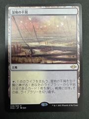 MTG 湿地の干潟 日本語 foil ZNE ゼンディカー・エクスペディション