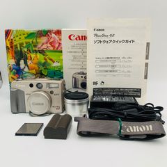 美品】Panasonic LUMIX DMC-FX01 スマホ転送♩ シルバー 元箱•取説