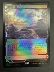 MTG 湿地の干潟 日本語 foil ZNE ゼンディカー・エクスペディション
