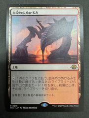 MTG 湿地の干潟 日本語 foil ZNE ゼンディカー・エクスペディション