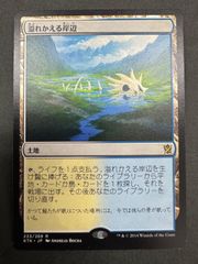 MTG 湿地の干潟 日本語 foil ZNE ゼンディカー・エクスペディション