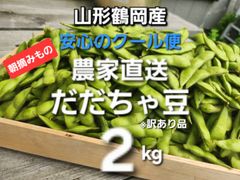 山形総本家 産直フルーツと天然山菜の直売 - メルカリShops