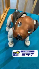 【aibo / アイボ】【SONY】【2019年限定カラーモデルチョコ エディション】