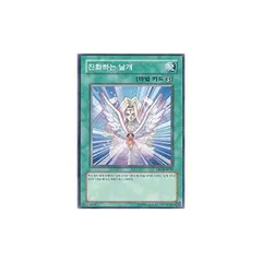 【3枚セット】韓国版　遊戯王 進化する翼 【ノーマル】DP1-KR018