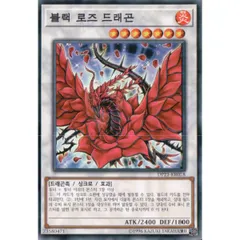 3枚セット】韓国版 遊戯王 ブラック・ローズ・ドラゴン 【ノーマル