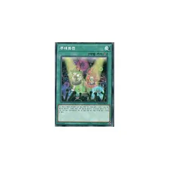 【3枚セット】韓国版　遊戯王 盆回し 【ノーマル】SD33-KR030