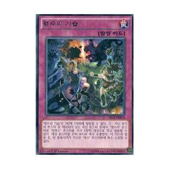 3枚セット】韓国版 遊戯王 魔知ガエル 【ノーマル】SD40-KR021 - メルカリ