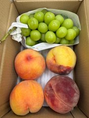 山梨県産 硬い黄桃 2kg クール便 - メルカリ