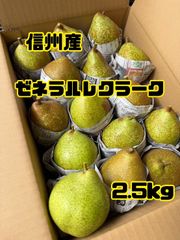 食品 青森県産 摘果洋梨 ゼネラルレクラーク 約9.4kg 加工用