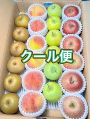 超希少品種 伊豆錦 ジャンボ大粒ぶどう 甘い秀品 糖度20度以上 10房 種
