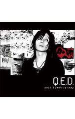 Acid Black Cherry Q.E.D フォトブックレット 初回限定特典 - メルカリ