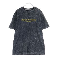 アレキサンダーワン デカロゴ ヘビーウエイトTシャツ 厚手 M相当 極美