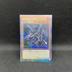 遊戯王 真紅眼の黒竜 PSEC-JP003 抽選品プリズマ プリシク - メルカリ