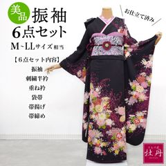 美品》正絹 振袖6点セット M〜LLサイズ 成人式 個性的 振袖セット 呉服